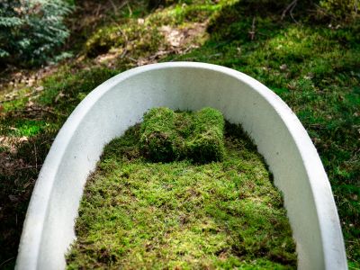 Loop interior with moss